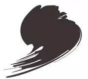Farbmuster: HTK-A168 Dark Brown (RLM61)