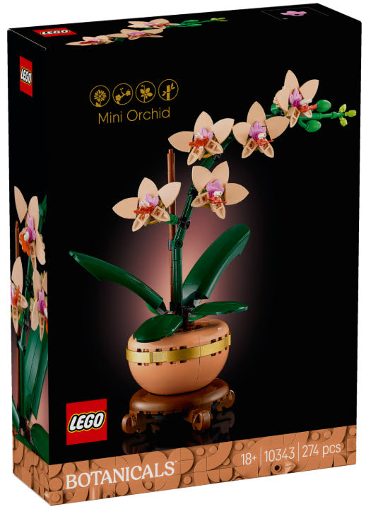Verpackung: LEGO Botanicals 10343 Mini-Orchidee