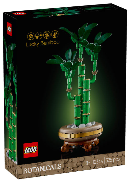 Verpackung: LEGO Botanicals 10344 Glücks-Bambus