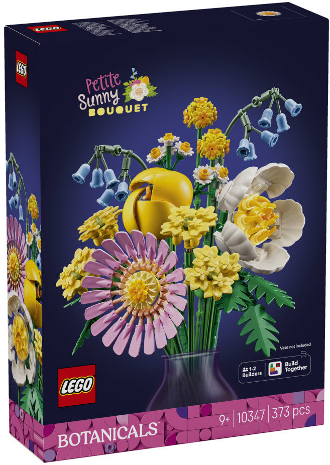 Verpackung: LEGO Botanicals 10347 Kleiner Sommerstrauß