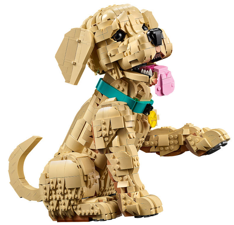 Detail 1: Golden Retriever Welpe