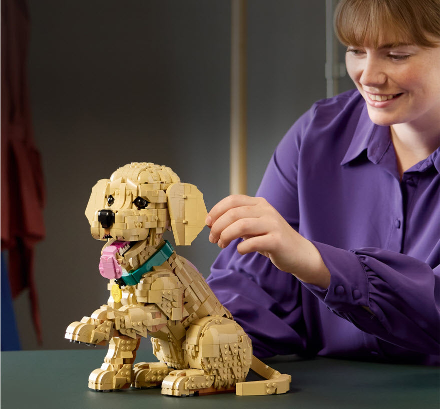 Detail 3: Golden Retriever Welpe
