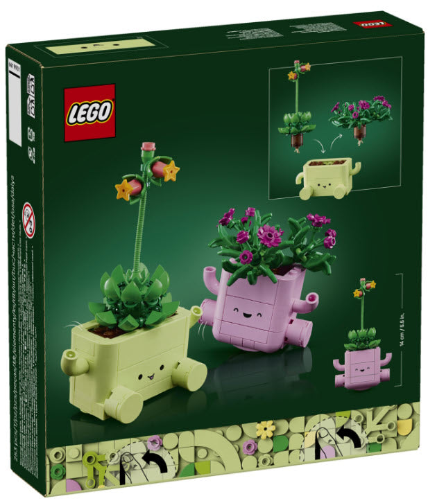 Box Rückseite: LEGO Botanicals 11506 Schaukelnde Pflanzen