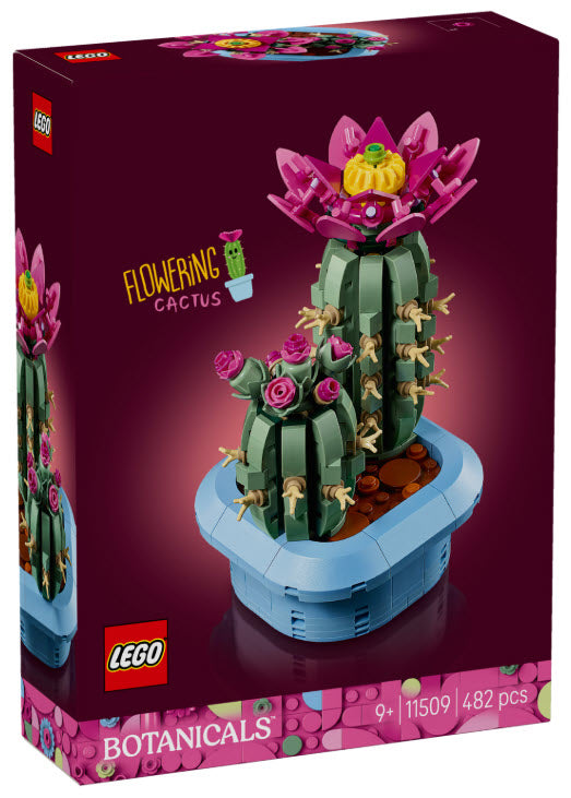 Verpackung: LEGO Botanicals 11509 Blühender Kaktus