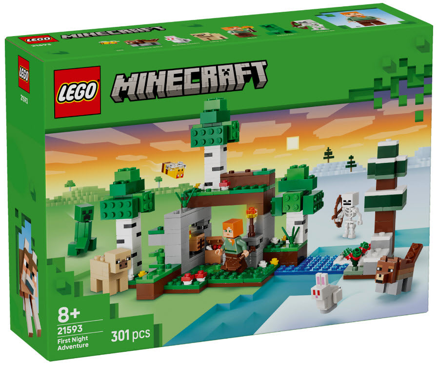 Verpackung: LEGO Minecraft 21593 Erstes Abenteuer in der Nacht