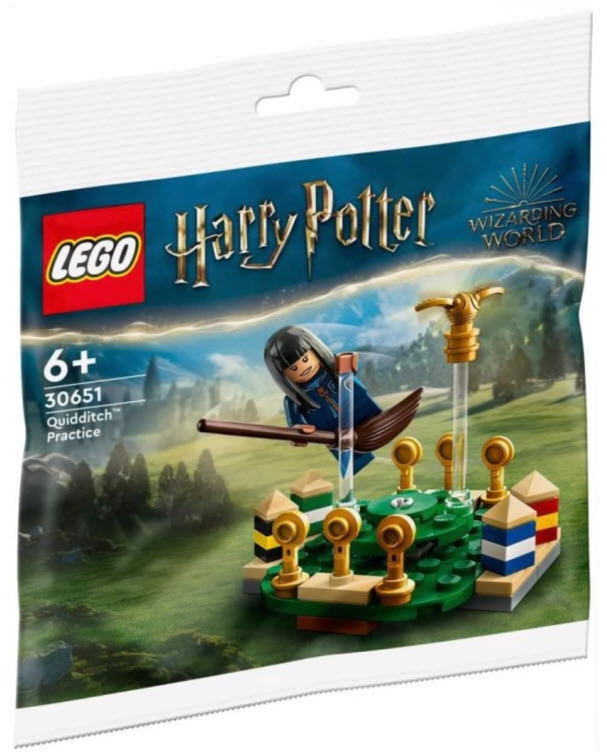 Verpackung: LEGO Harry Potter 30651 Quidditch Training