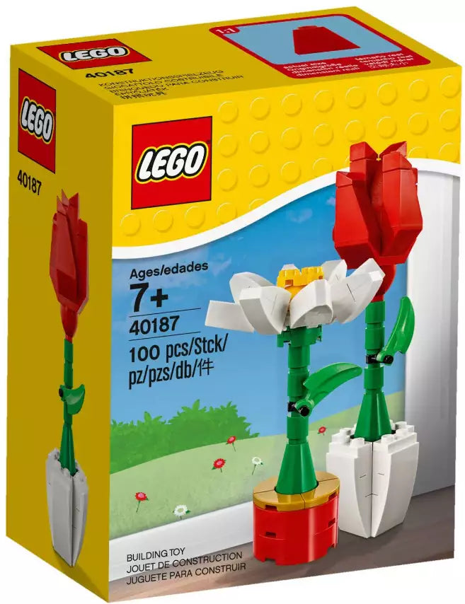 Verpackung: LEGO Saisonale Sets 40187 Blumenpracht