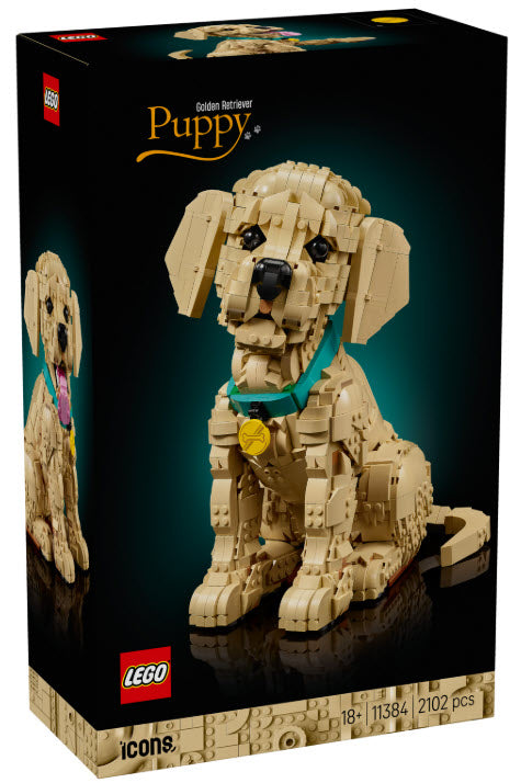 Verpackung: Golden Retriever Welpe