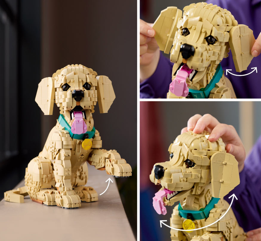 Detail 2: Golden Retriever Welpe